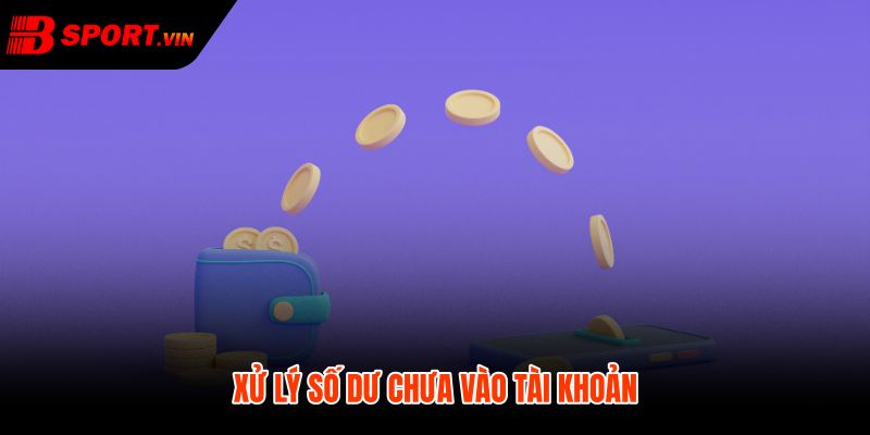 Nạp Tiền Bsport 3 Đối soát nạp tiền Bsport chậm qua hỗ trợ 24/7